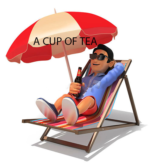 Chàng trai tắm nắng bên bờ biển Gia sư tiếng Anh trực tuyến Hải Phòng